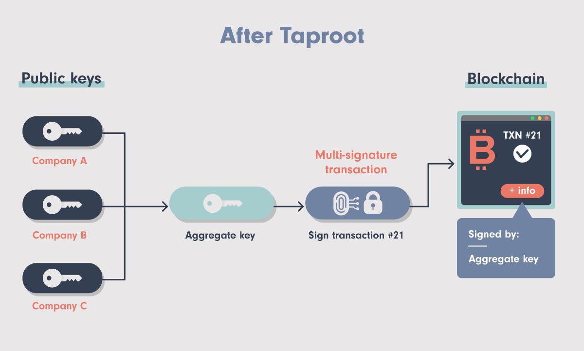 alt Diagram showing the effect of Taproot on multi-signature transactions