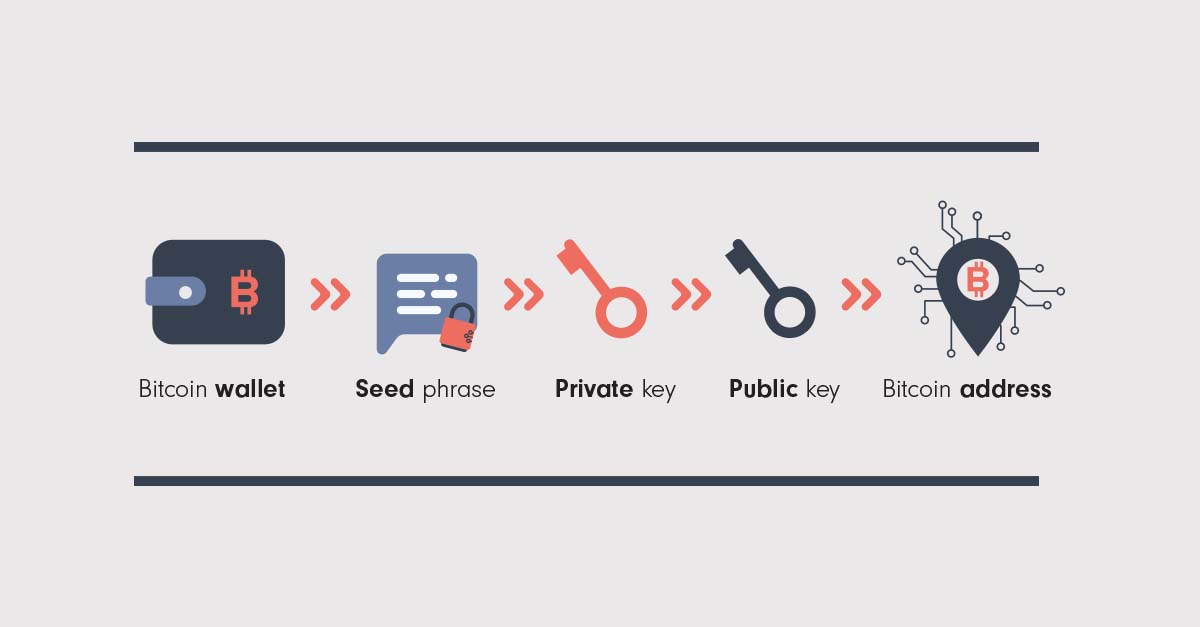 alt From left to right, we see a Bitcoin wallet, then a seed phrase, then a private key, then a public key, then a Bitcoin address.